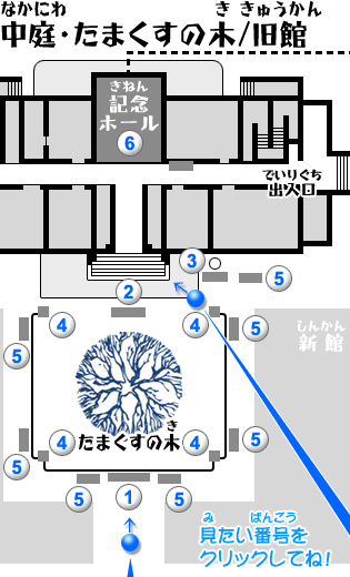中庭・たまくすの木／旧館