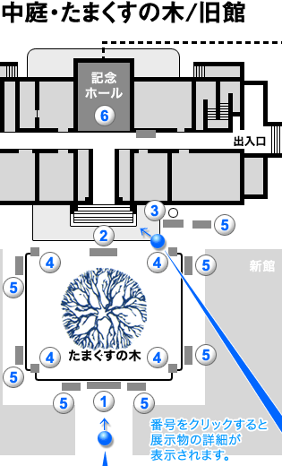 中庭・たまくすの木／旧館
