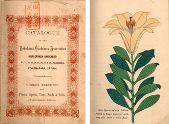 横浜植木商会“The Yokohama Gardeners Association”の海外向けカタログ〔1890年〕