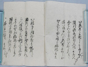 外国人遊猟の鉄砲にて老女負傷届書