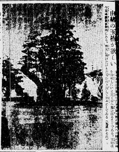 『横浜貿易新報』 1932年1月13日号