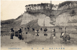 本牧海岸での潮干狩り　横浜開港資料館蔵