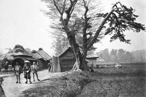 ベアト撮影　生麦事件現場　幕末　横浜開港資料館蔵