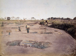 ②金沢の塩田　横浜開港資料館蔵