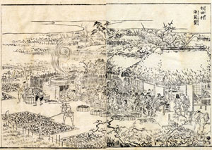 ③杉田村でのイリコの生産　横浜開港資料館蔵『江戸名所図会』より