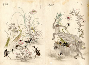 「鳥獣戯画」の味わいを伝える、椎野商店の図案帳　明治期　椎野正兵衛商店蔵　そのユーモラスなさまは宮川香山の「高浮彫」作品に通じるものがある。