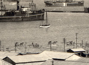 図７　図３の一部拡大