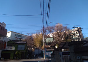 図３　現在の三春台と普門院　2019年1月撮影