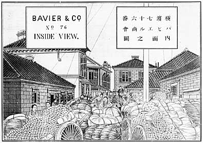 クリックすると大きな画像がご覧いただけます